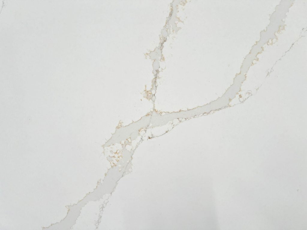 Calacatta Gold – Mees Tile Marble